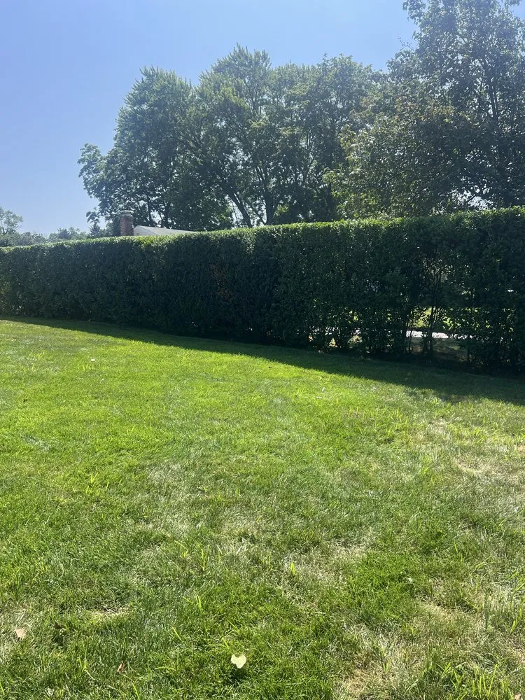 Professional lawn mowing service in Red Bank, NJ - L.Gonzalez landscaping services