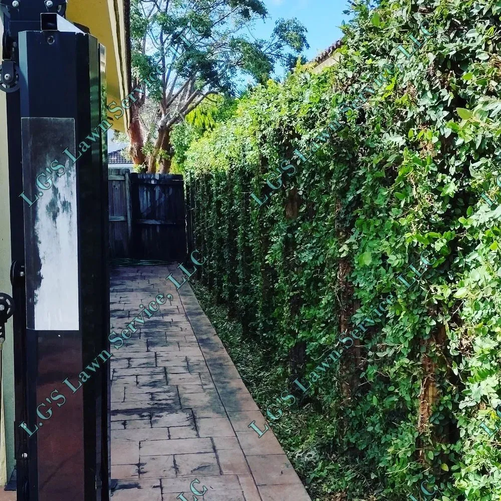 Top-rated lawn care service near you in Homestead, FL by L.G'S Lawn Service