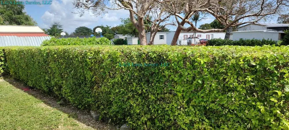 Local lawn mowing service in Homestead, FL by L.G'S Lawn Service