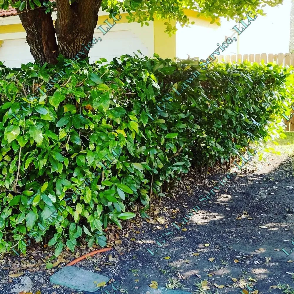 Reliable lawn care service experts serving Homestead, FL - L.G'S Lawn Service