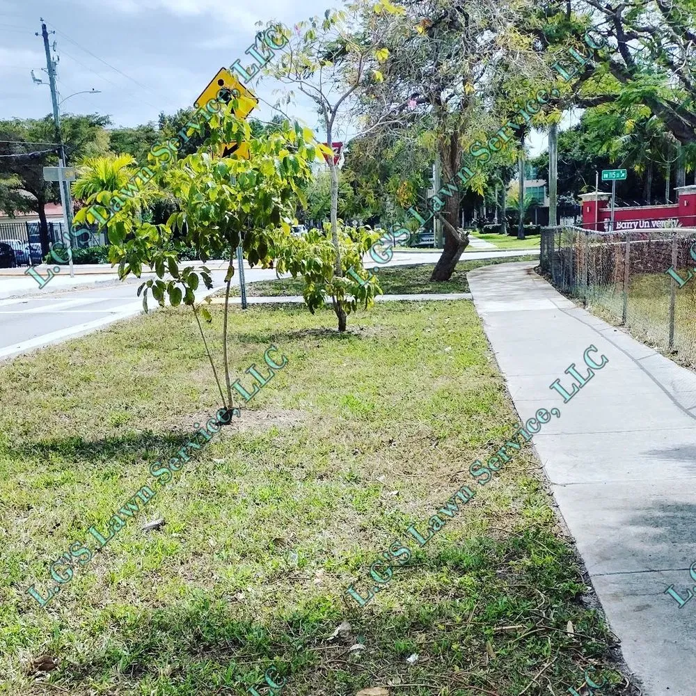Reliable residential landscaping for residential properties across Homestead, FL - L.G'S Lawn Service
