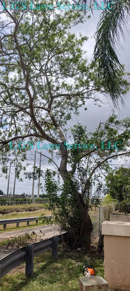 Expert landscaping services for outdoor upgrades in Homestead, FL by L.G'S Lawn Service