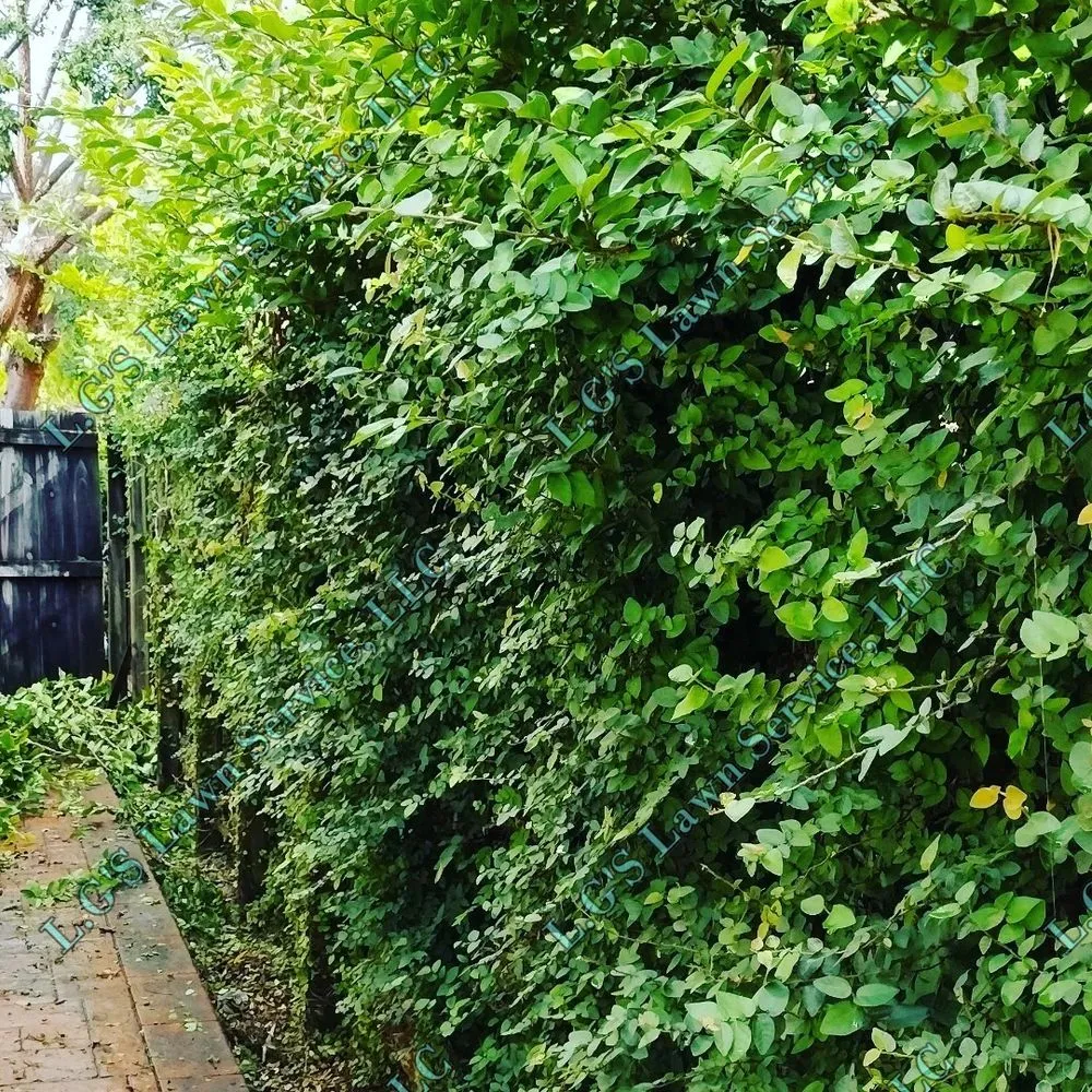 Custom residential landscaping for residential properties in Homestead, FL by L.G'S Lawn Service