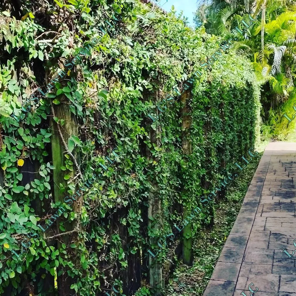 Custom landscape design in Homestead, FL - L.G'S Lawn Service