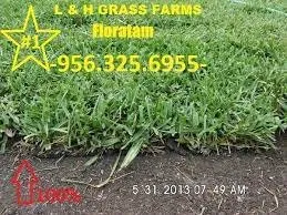 Reliable yard maintenance for residential properties across San Juan, TX - L&H GRASS FARMS