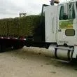Top-rated yard cleanup service experts serving San Juan, TX - L&H GRASS FARMS