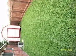 Affordable outdoor landscaping for outdoor upgrades across San Juan, TX - L&H GRASS FARMS