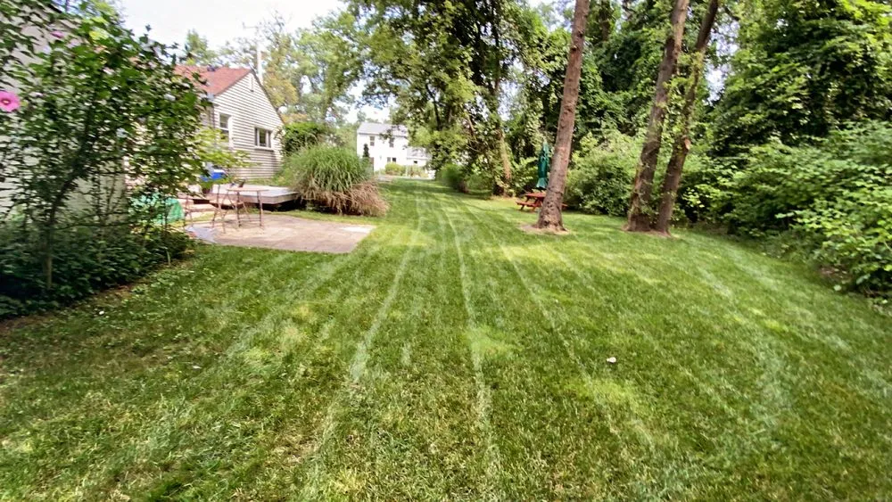 Local yard cleanup service for homes across Lansing, MI - L&H Lawn Care