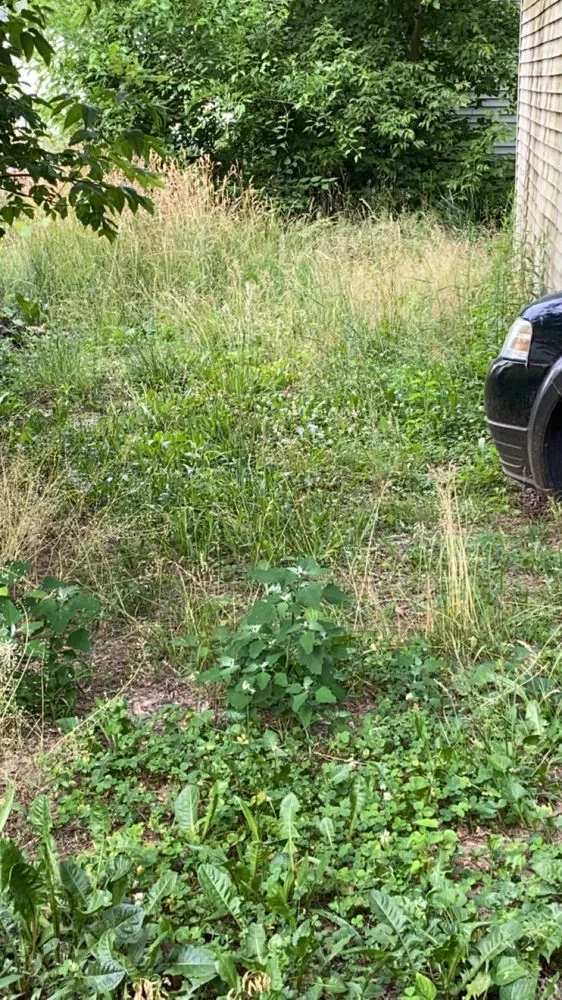 Professional lawn care service experts serving Lansing, MI - L&H Lawn Care