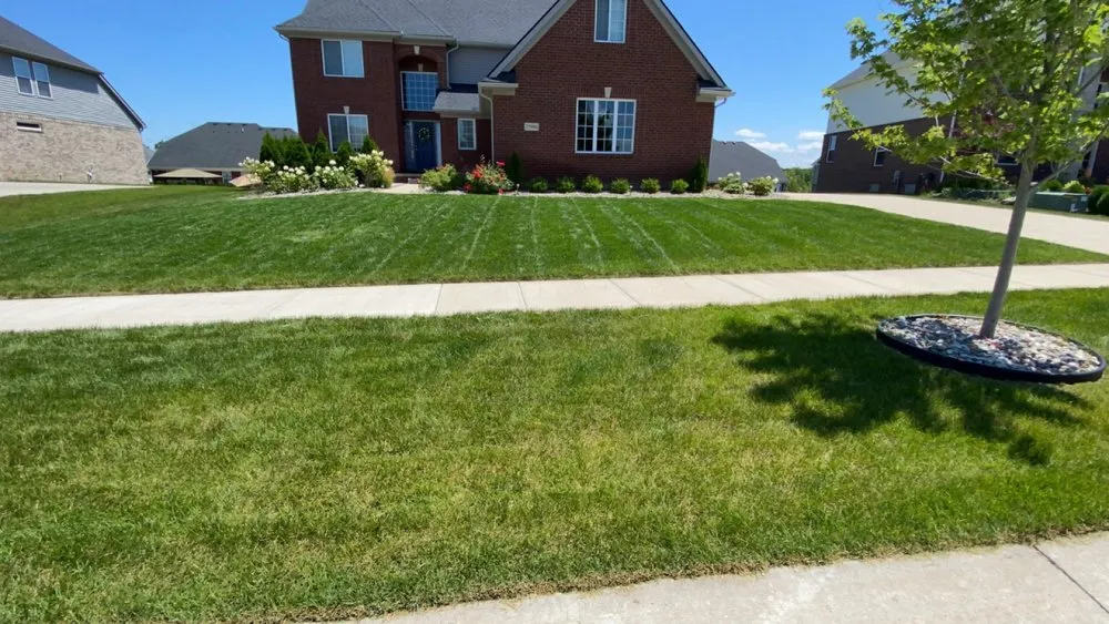 Expert yard cleanup service in Lansing, MI - L&H Lawn Care