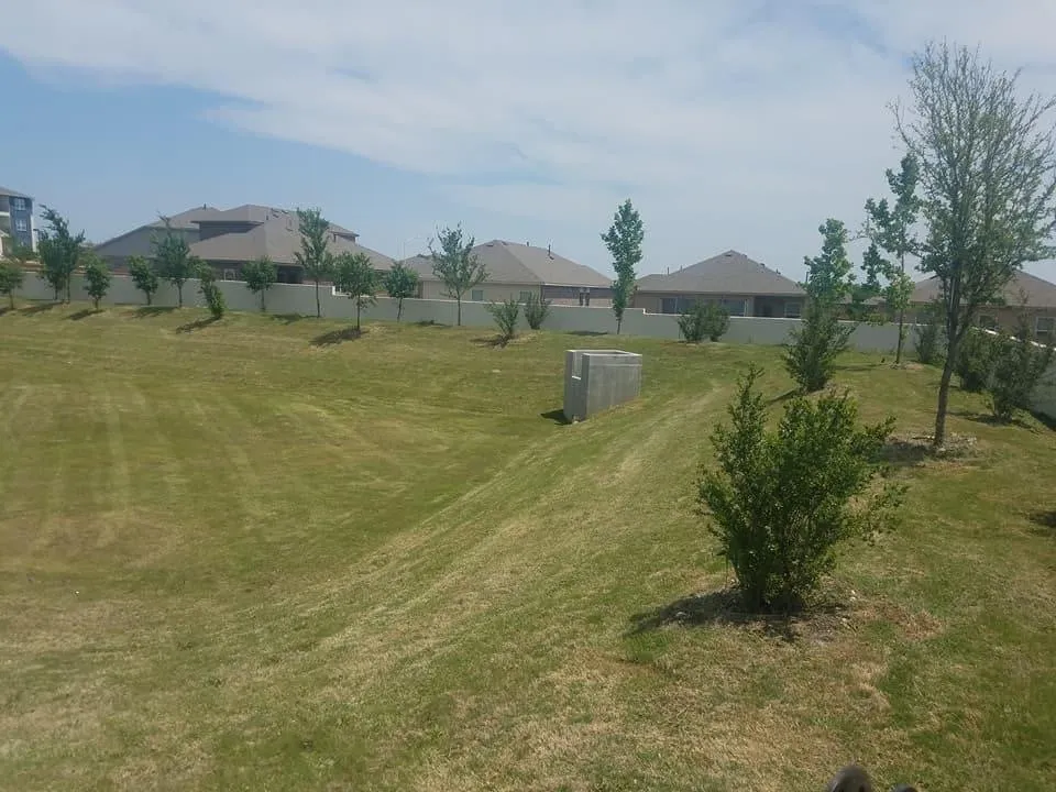 Local landscaping services with custom design in Pflugerville, TX by LH Lawn Landscapes