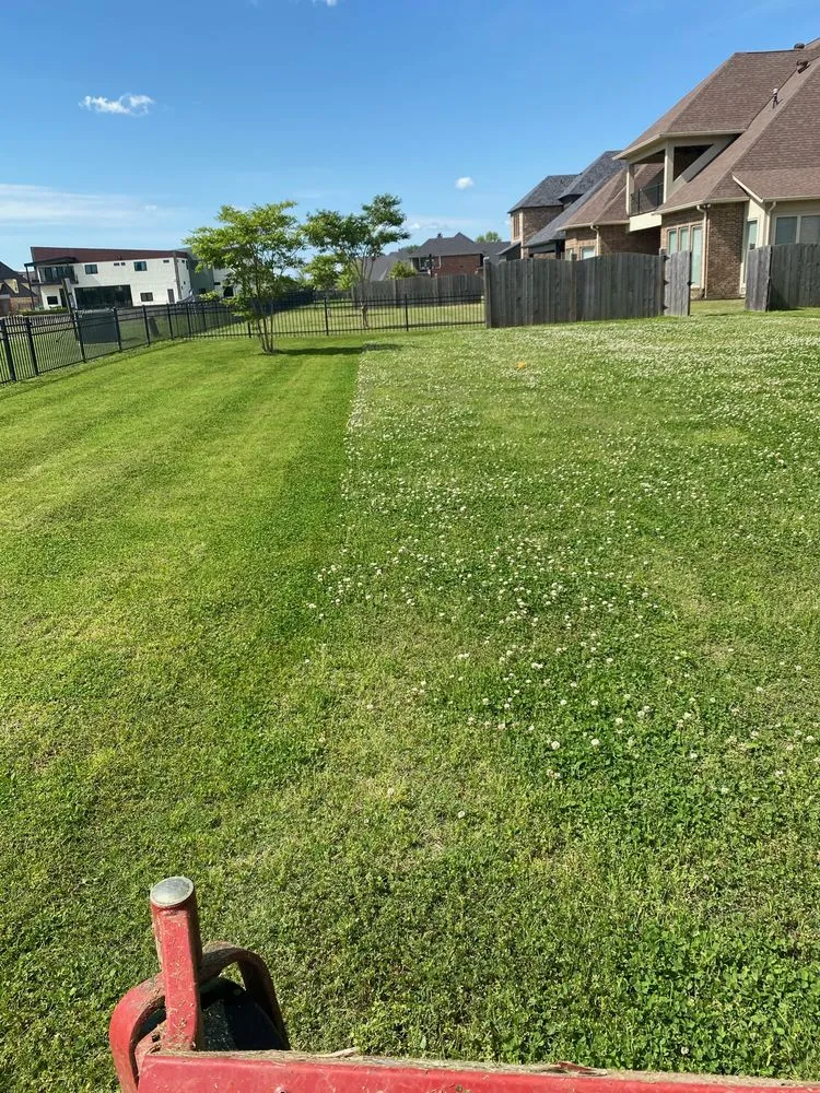 Custom yard maintenance experts serving Bossier City, LA - LH Lawn Services