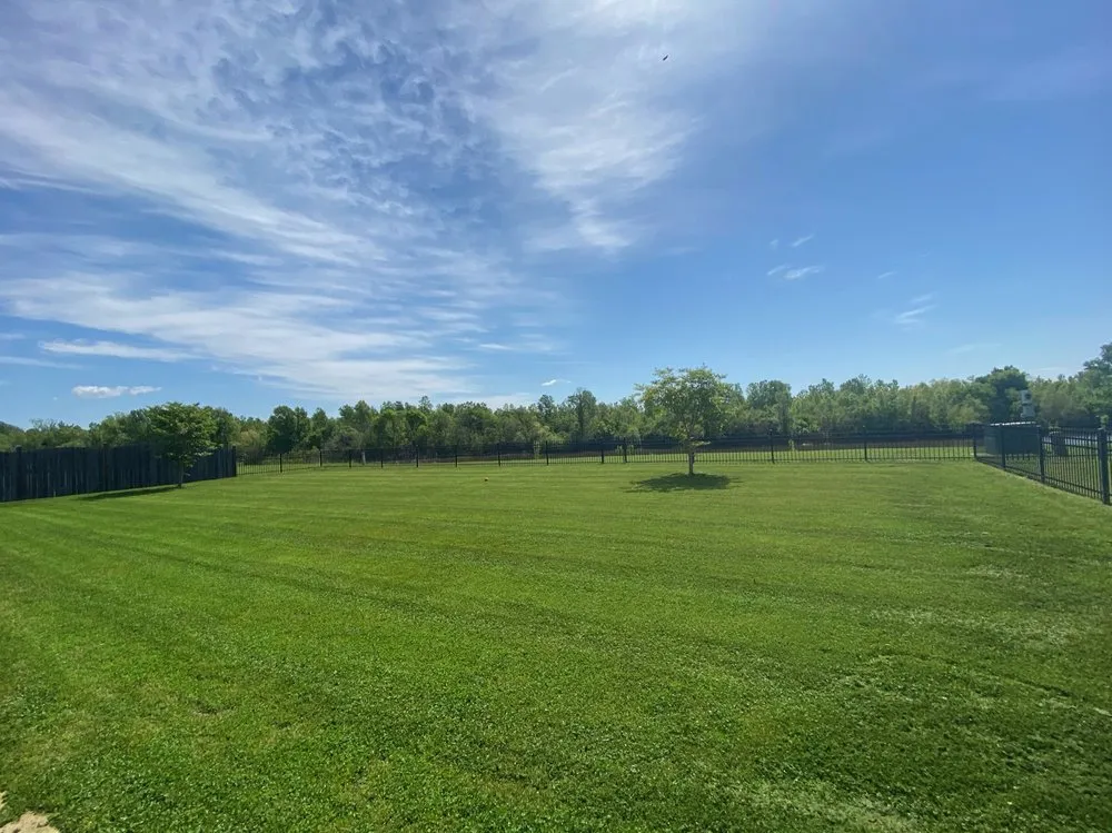 Reliable lawn care service experts serving Bossier City, LA - LH Lawn Services