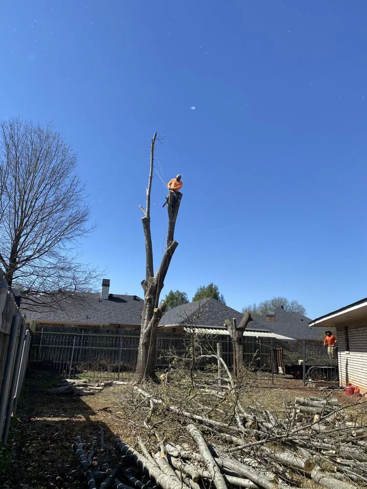 Local landscape design experts serving Bossier City, LA - LH Lawn Services