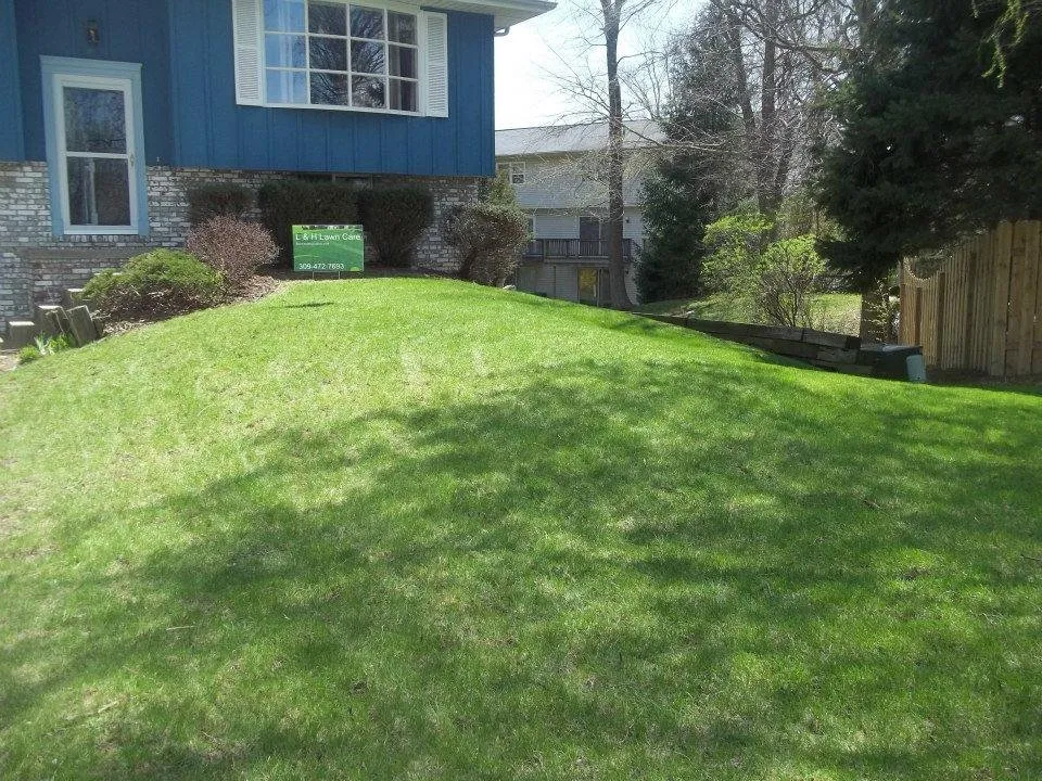 Expert yard cleanup service for homes in Meansville, GA by L&H Lawncare and Landscapes