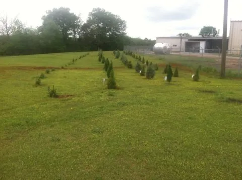 Local lawn mowing service for year-round maintenance in Meansville, GA by L&H Lawncare and Landscapes