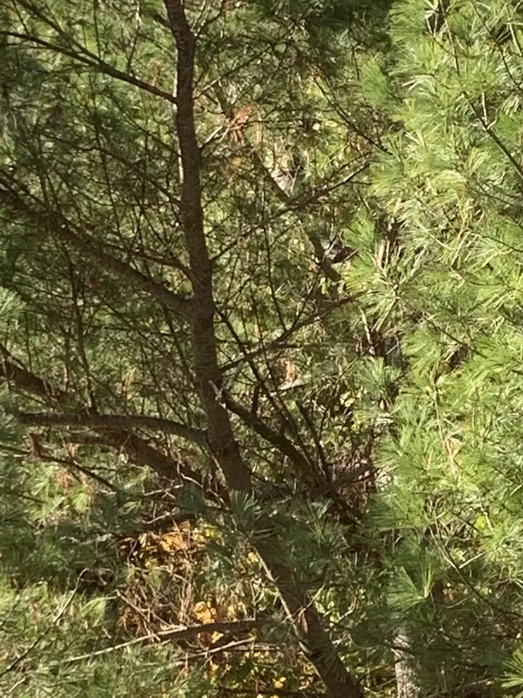 Affordable residential landscaping in Raymond, ME - Lh Property Services