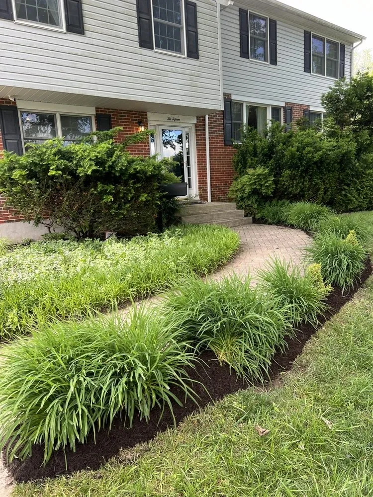 Top-rated yard cleanup service in York, PA by LH Property Solutions