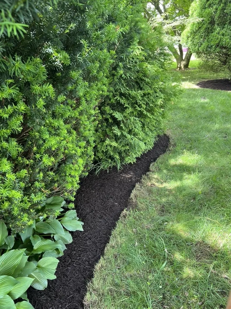 Affordable yard cleanup service in York, PA - LH Property Solutions