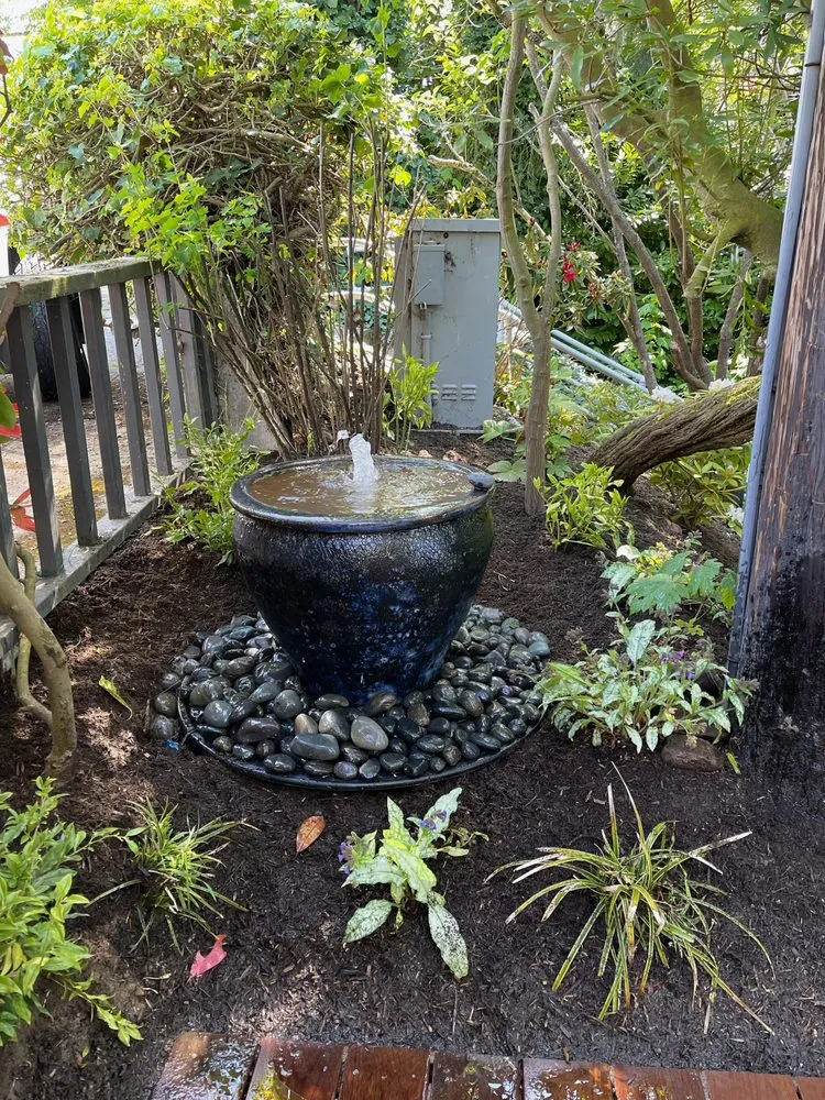 Top-rated yard cleanup service in Longbranch, WA by L&H vistas