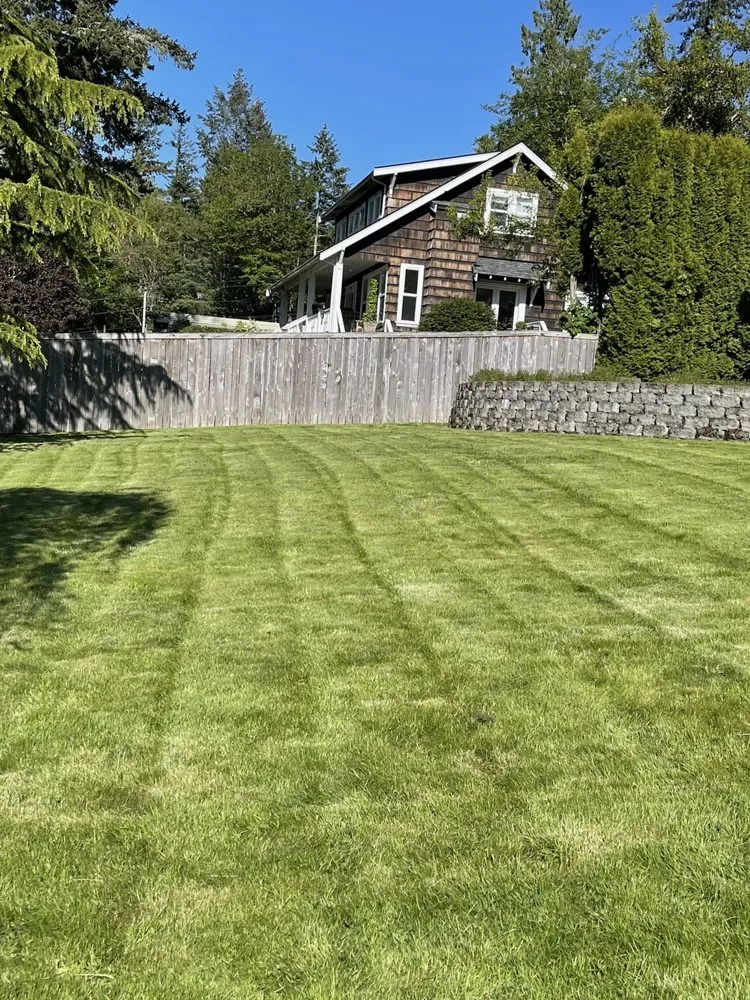 Custom yard cleanup service experts serving Longbranch, WA - L&H vistas