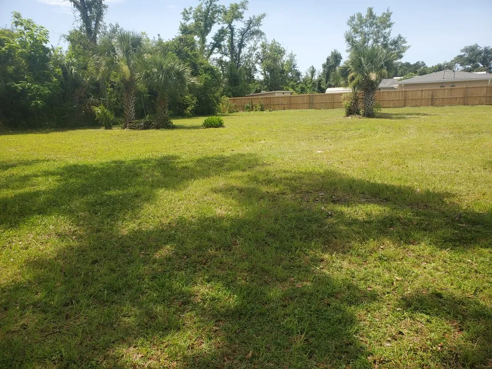 Affordable landscaping services for homes across Panama City, FL - Lh7 Services