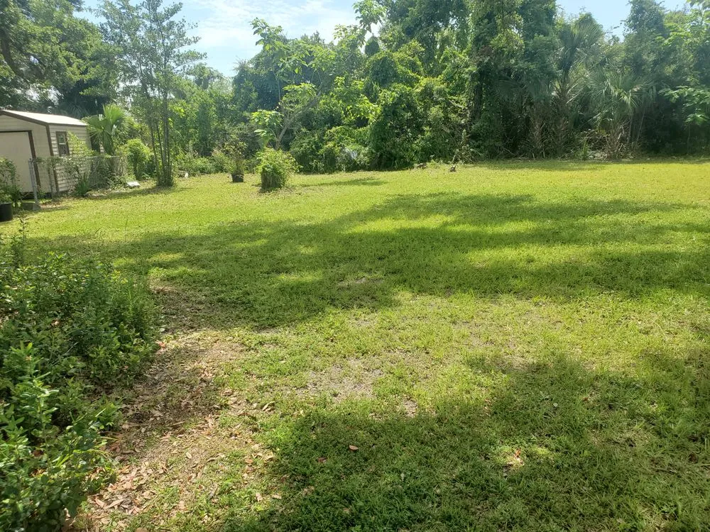 Professional landscape installation in Panama City, FL - Lh7 Services