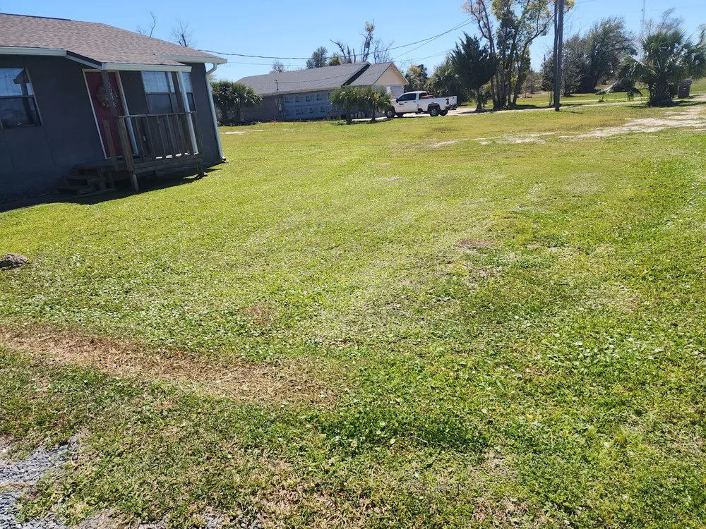 Trusted landscaping services in Panama City, FL - Lh7 Services