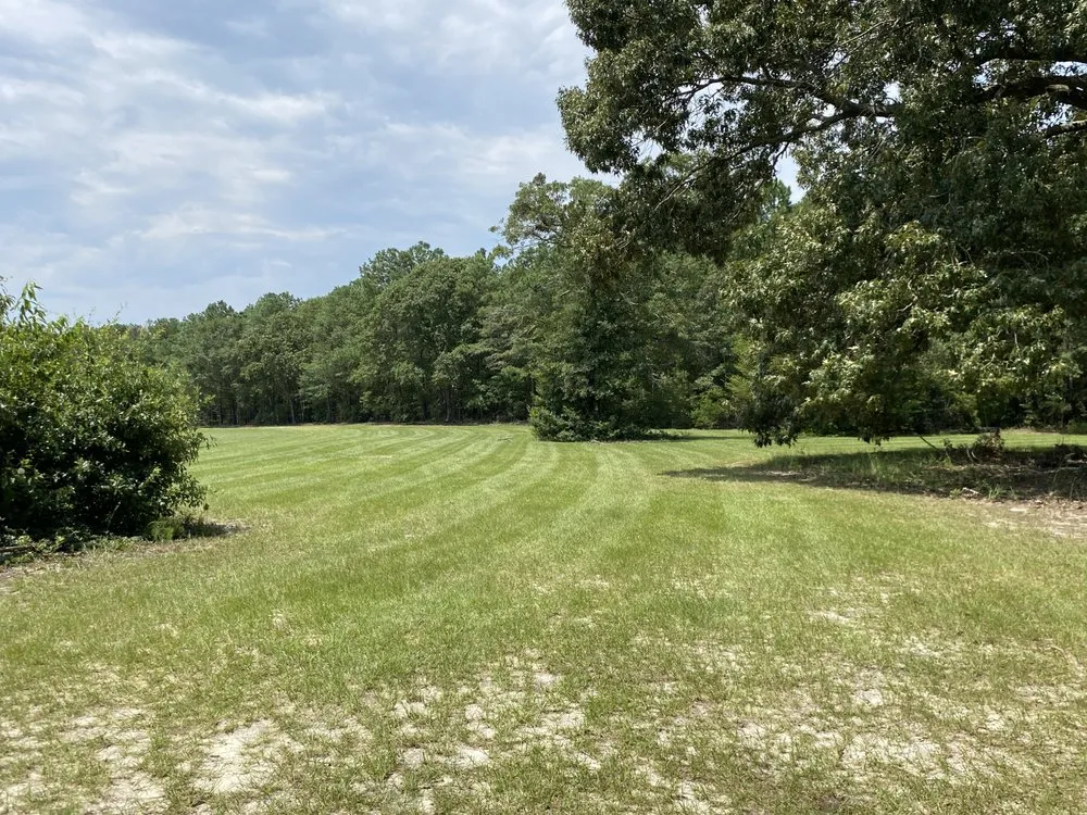 Affordable yard maintenance in Seven Springs, NC by LHG Landscaping