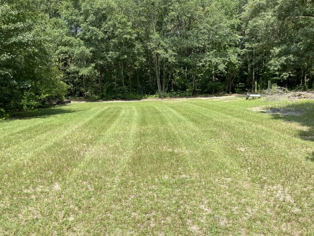 Expert residential landscaping for residential properties across Seven Springs, NC - LHG Landscaping