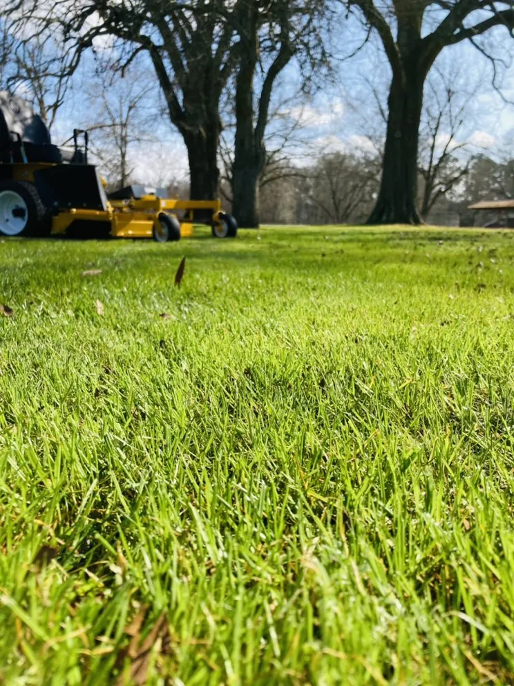 Reliable lawn care service experts serving Augusta, GA - LHR Landscaping