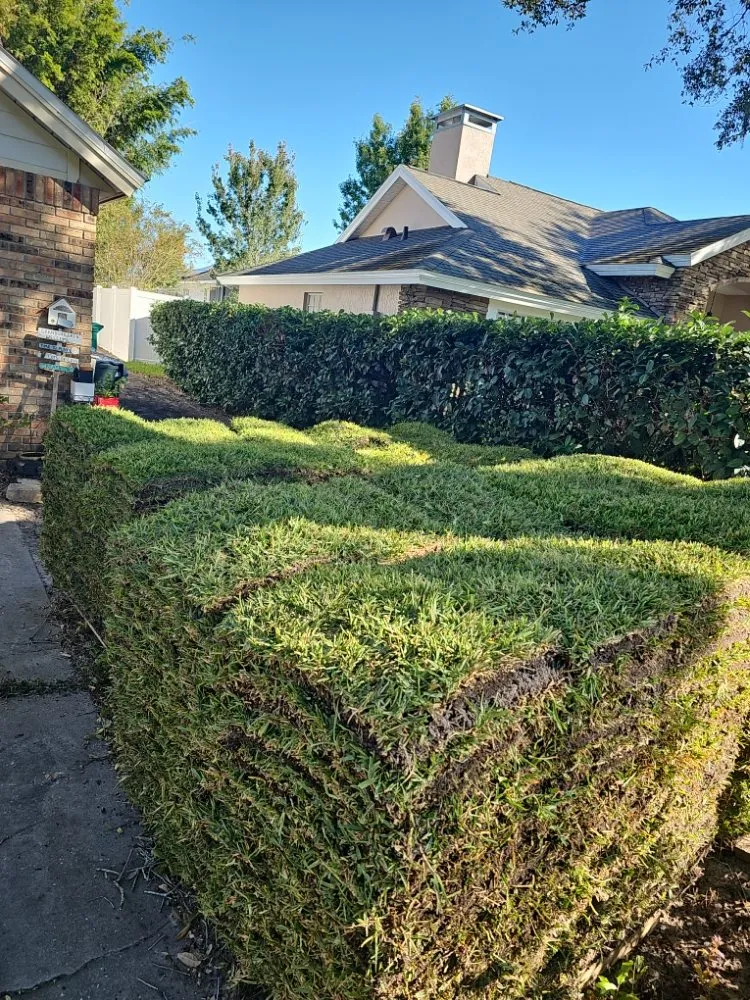Trusted landscape installation for homes across Grand Island, FL - Lhs enterprise divisions