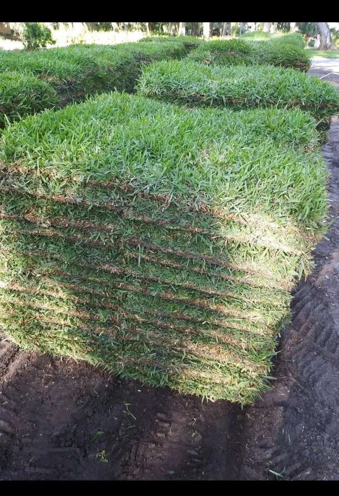 Professional lawn mowing service for beautiful yards across Grand Island, FL - Lhs enterprise divisions