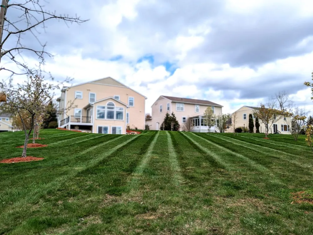 Trusted landscape design in Lansing, MI - LHS Services