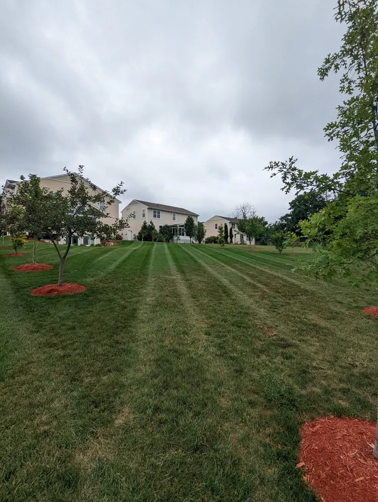 Trusted landscape design in Lansing, MI - LHS Services