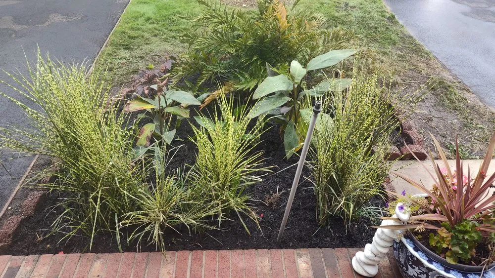 Professional yard cleanup service in Ridge, NY by L.I. Bushwackers