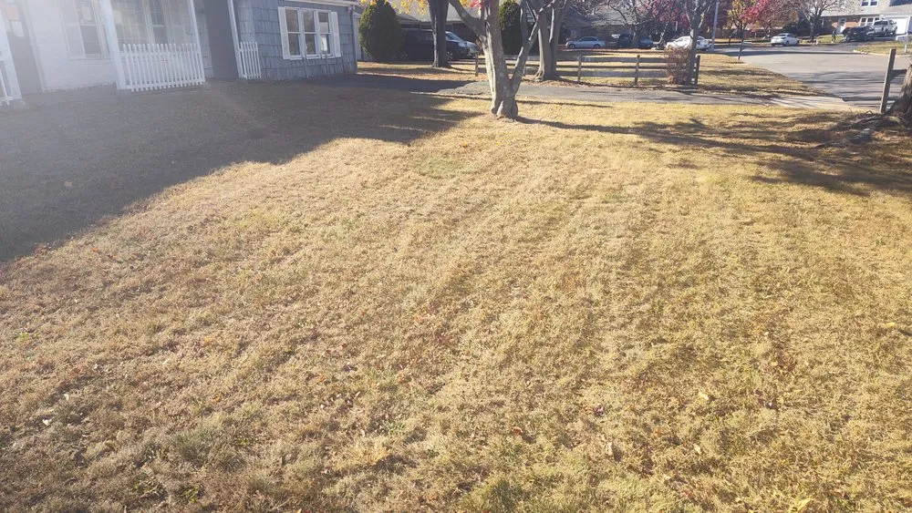 Local landscape installation for year-round maintenance in Ridge, NY by L.I. Bushwackers