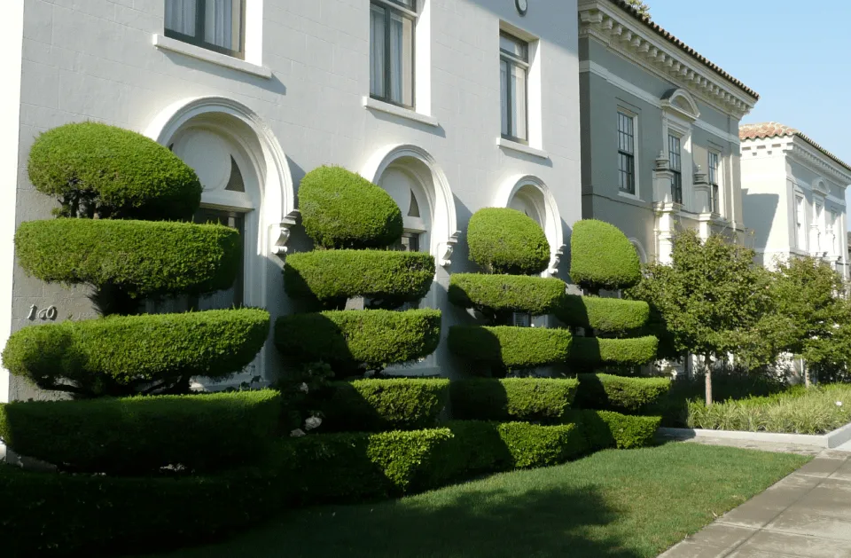 Reliable lawn care service with custom design across Ridge, NY - L.I. Bushwackers