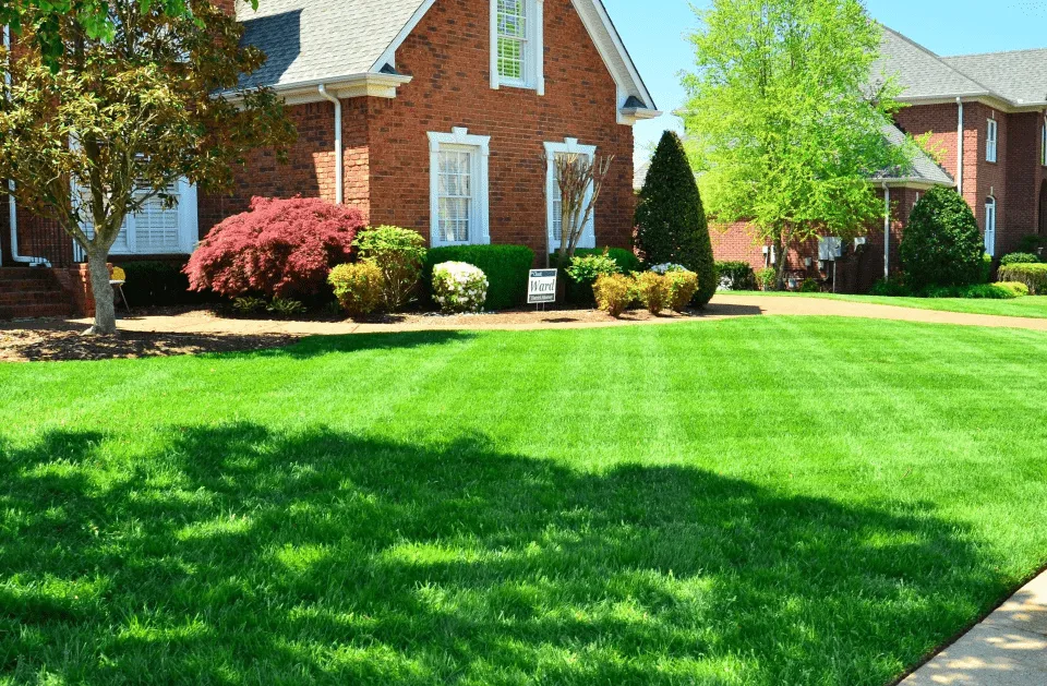 Top-rated yard maintenance for beautiful yards across Ridge, NY - L.I. Bushwackers