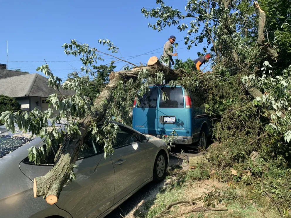 Affordable lawn care service near you in Bay Shore, NY by LI Landscaping and Tree Service