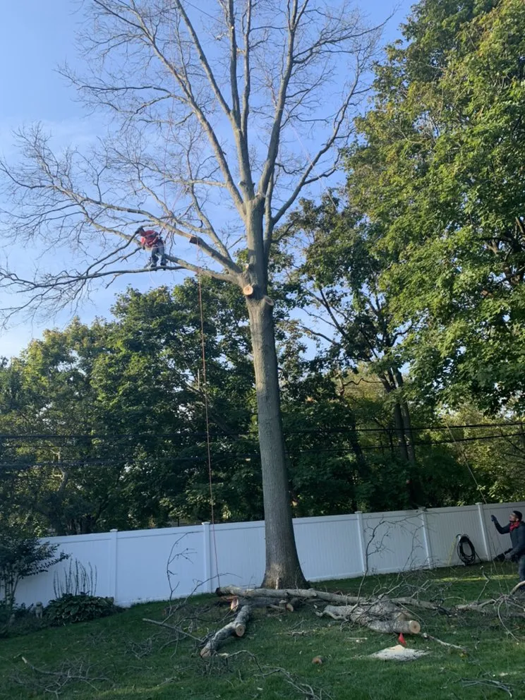 Reliable residential landscaping for outdoor upgrades in Bay Shore, NY by LI Landscaping and Tree Service