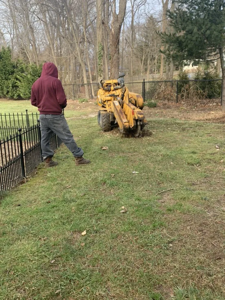 Top-rated yard maintenance in Bay Shore, NY - LI Landscaping and Tree Service