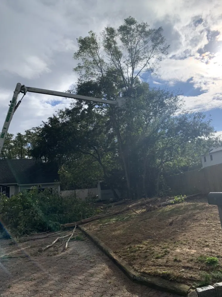 Local garden landscaping for beautiful yards in Bay Shore, NY by LI Landscaping and Tree Service