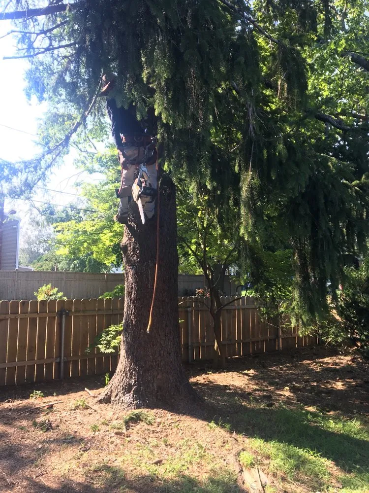 Expert lawn mowing service in Bay Shore, NY - LI Landscaping and Tree Service