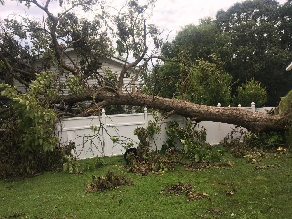 Trusted residential landscaping with custom design across Bay Shore, NY - LI Landscaping and Tree Service