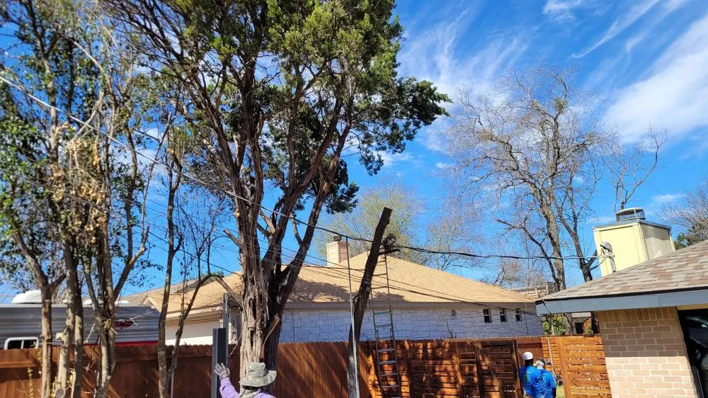 Reliable landscape design in Austin, TX - L&I Tree Service and More