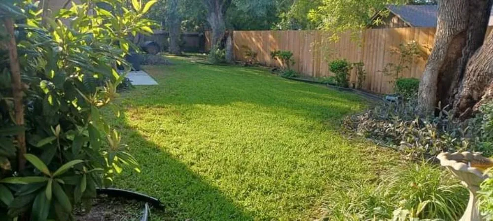Local lawn care service in Austin, TX - L&I Tree Service and More