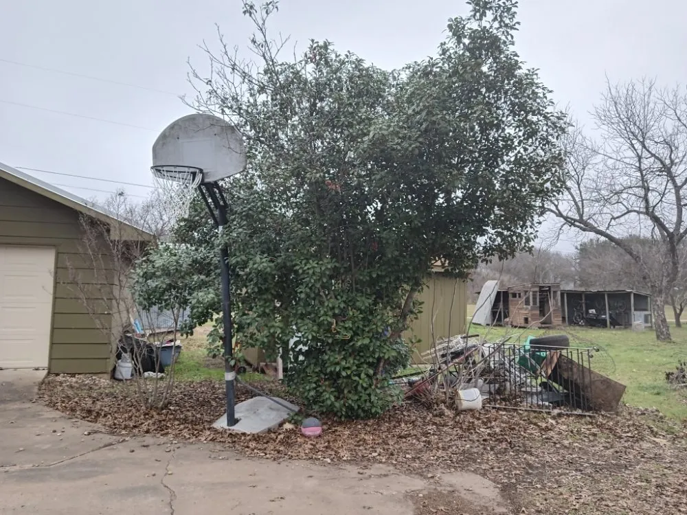 Reliable lawn mowing service in Austin, TX - L&I Tree Service and More