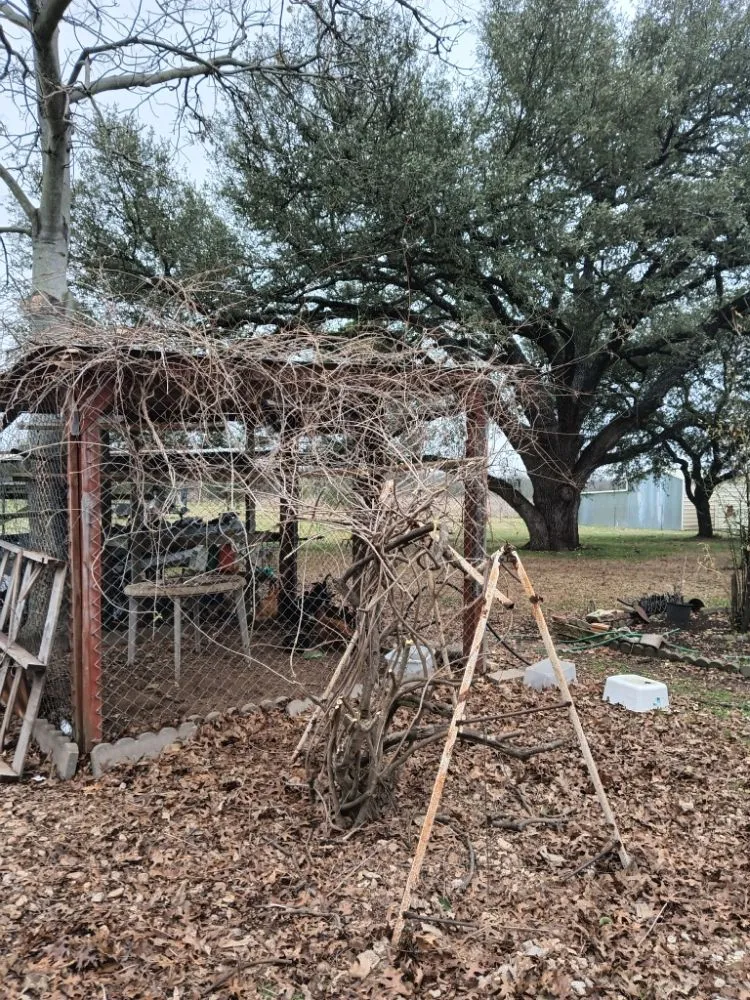 Local garden landscaping in Austin, TX - L&I Tree Service and More