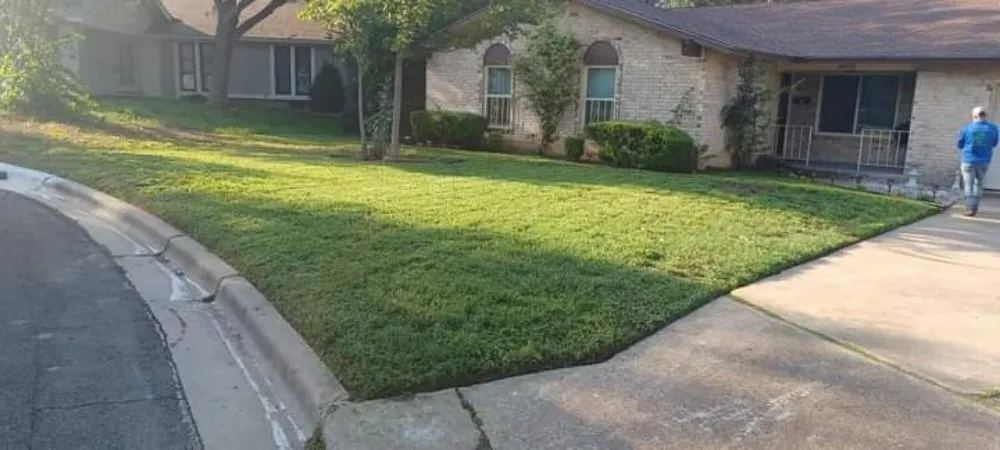 Top-rated lawn care service in Austin, TX by L&I Tree Service and More